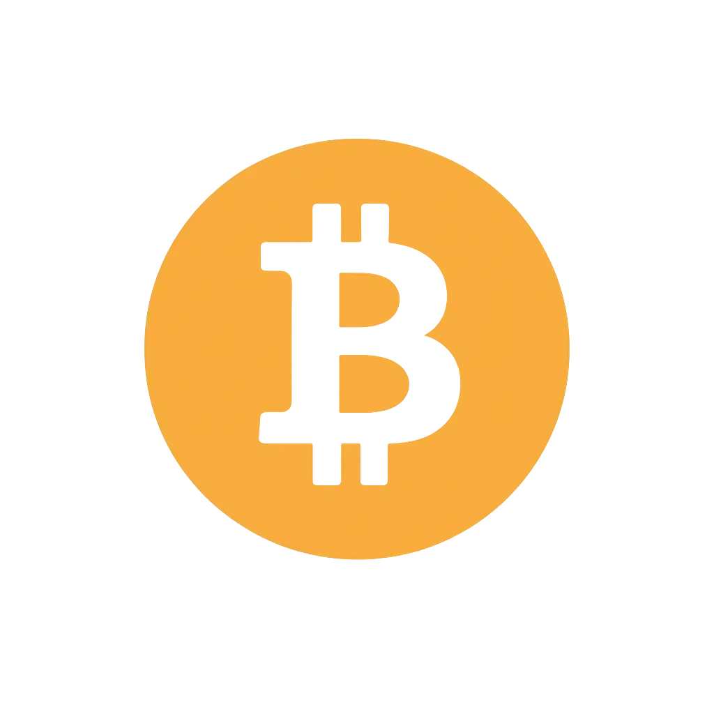 Bitcoin payment icon