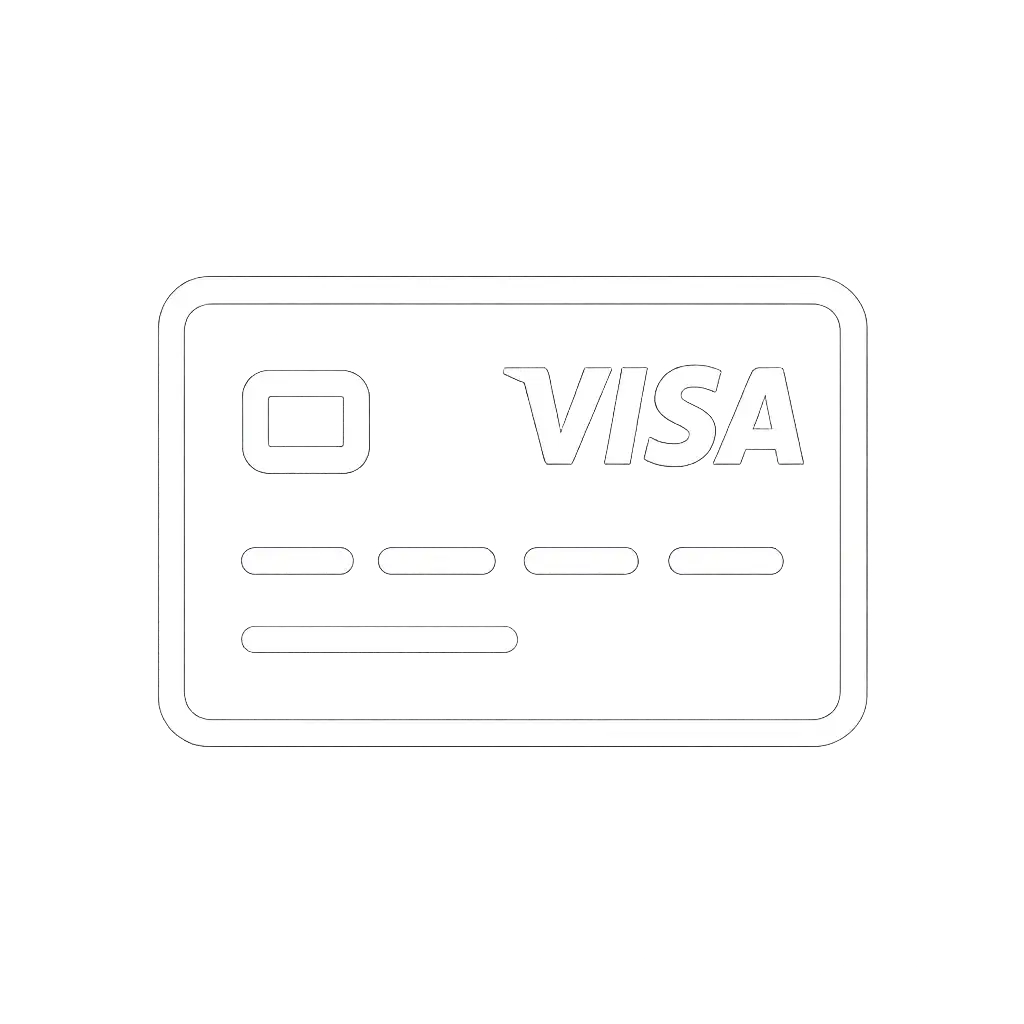 Visa payment icon